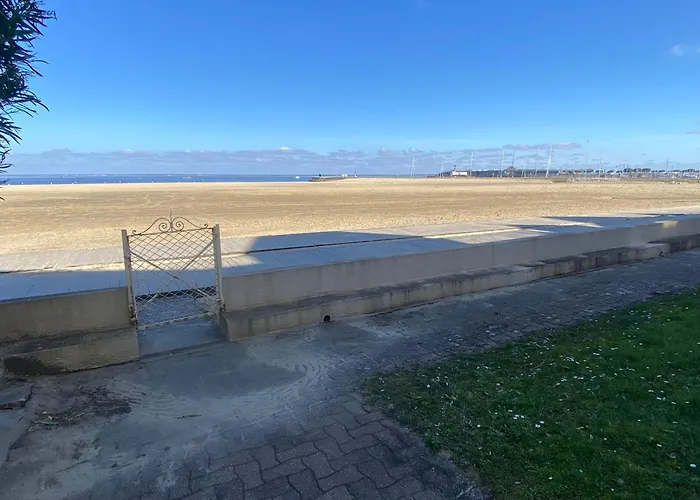 T2, Vue Superbe - 4 Pers. - Fr-1-374-244 Apartment Arcachon